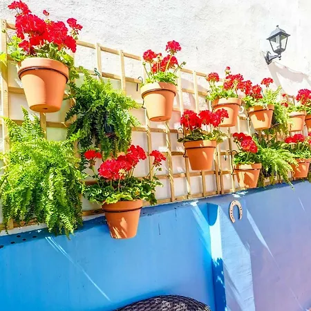 Charming Patio Amazing Location By Hello Homes Appartamento Sitges